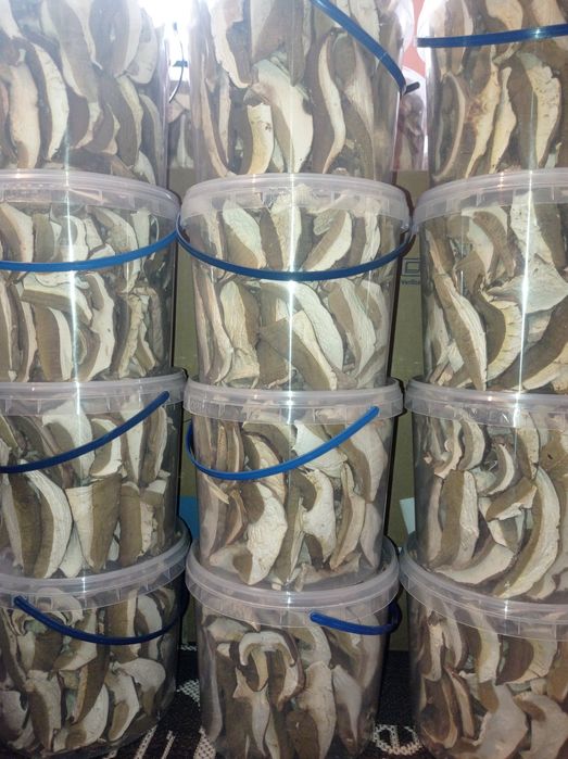 Грибы белые сушеные без песка Закарпатье