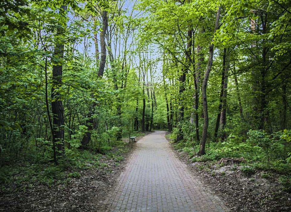 Будинок сонячні панелі про Гомельський Сирець Білицька  Мостицька DI