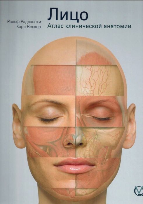Лицо. Атлас клинической анатомии Р.Радлански