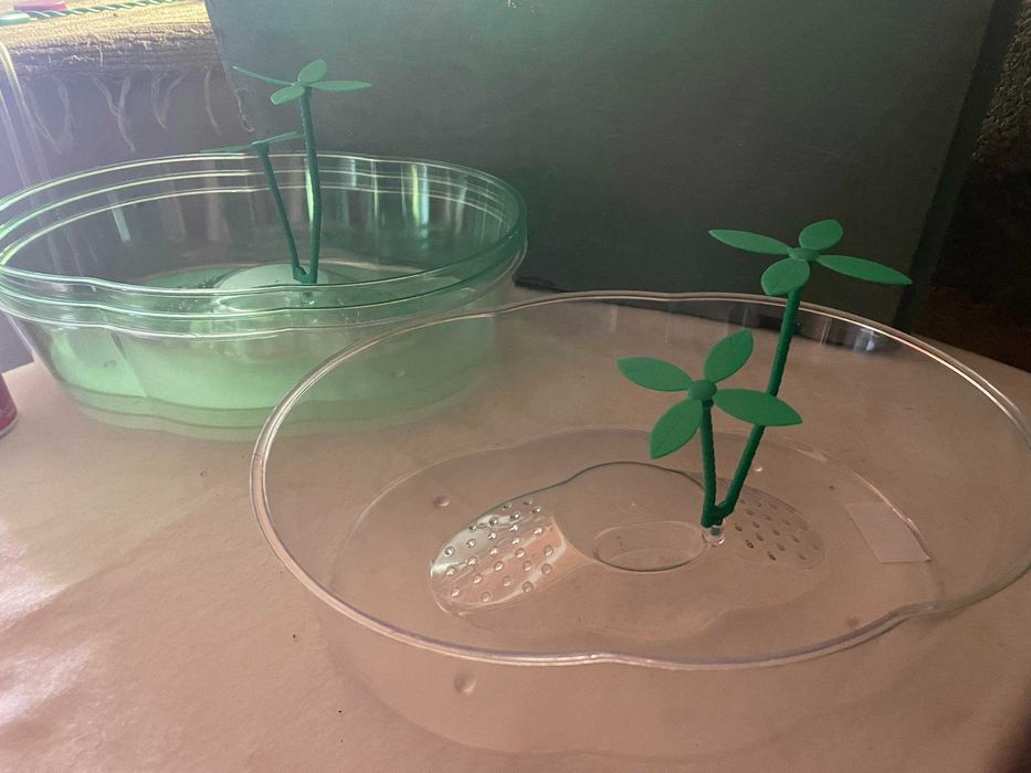 Terrário para tartarugas