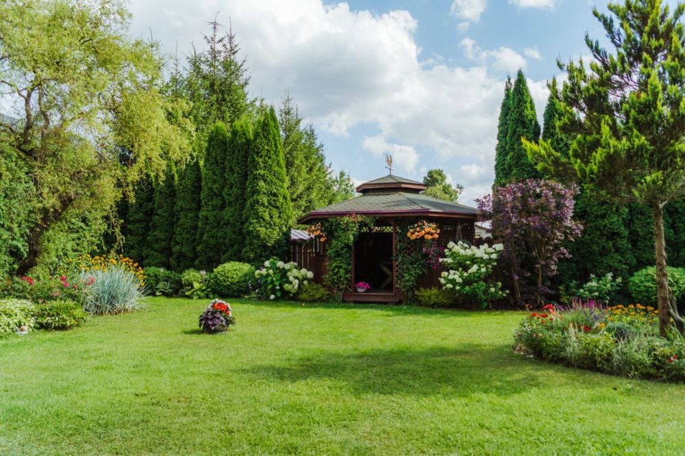 Agroturystyka „U progu lasu” w Puszczy Białowieskiej