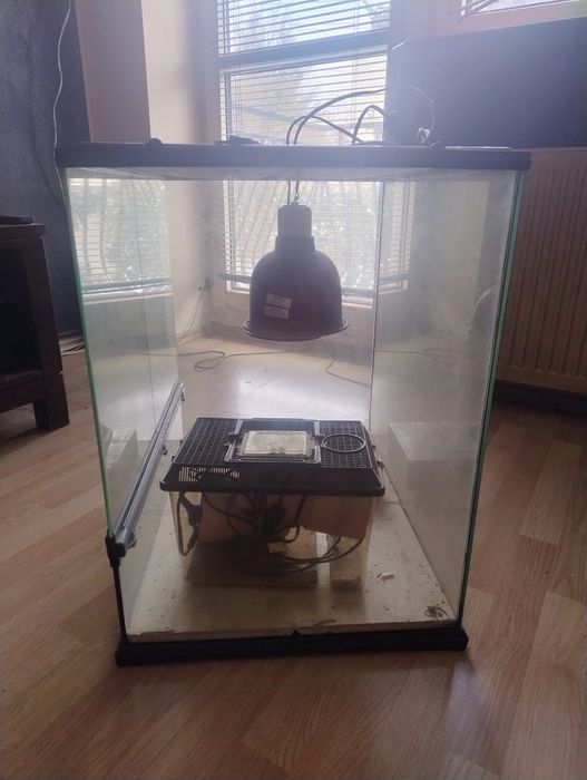 Terrarium 60x45x60 + wyposażenie