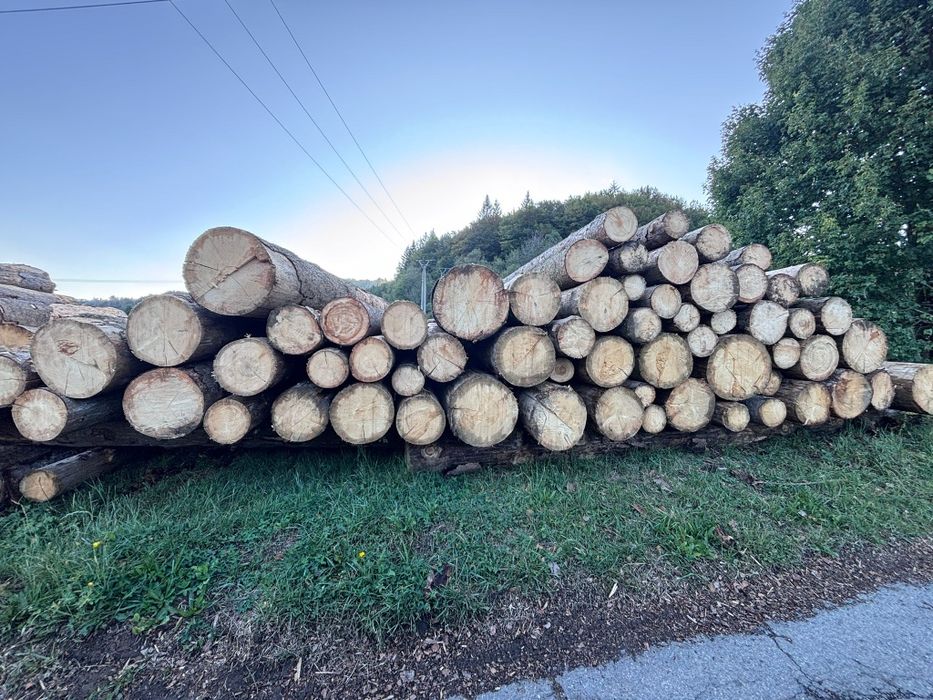 Sosna świerk tartaczny 4 5 6 12