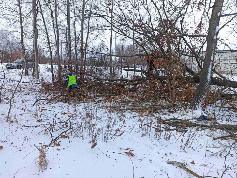 Розчистка земельних ділянок