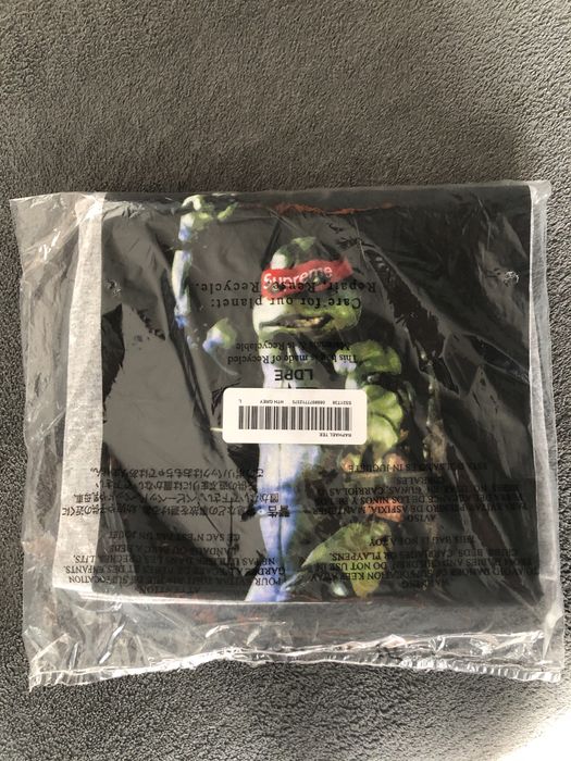 Supreme Raphael tee L