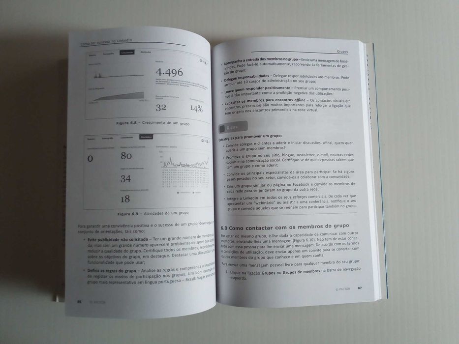 Livro "Como Ter Sucesso no LinkedIn", de Rui Pedro Caramez