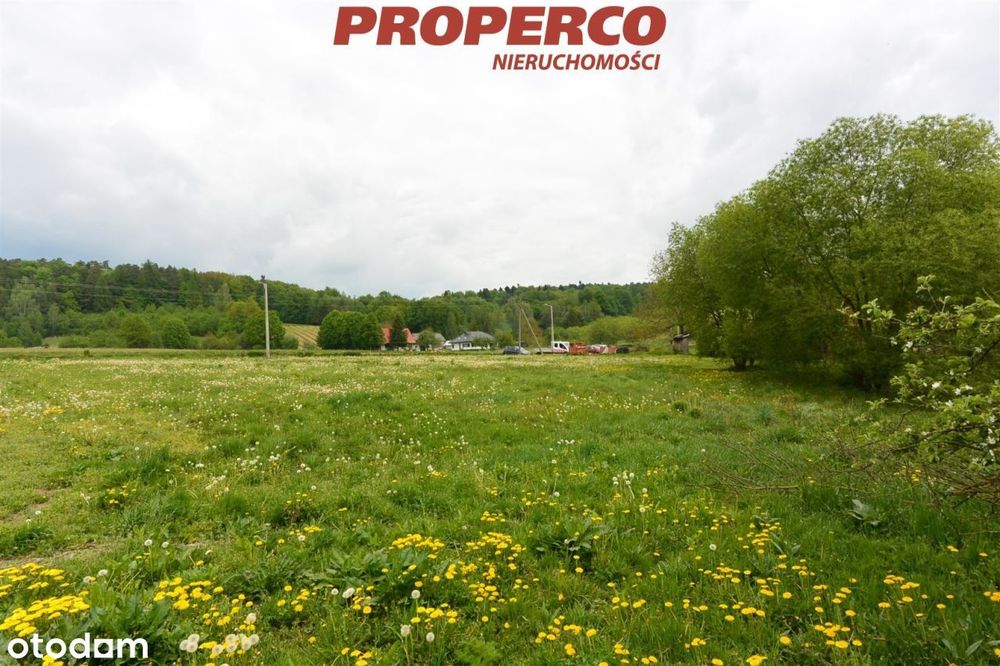 Działka 1600 m2, Cisów, gm. Daleszyce
