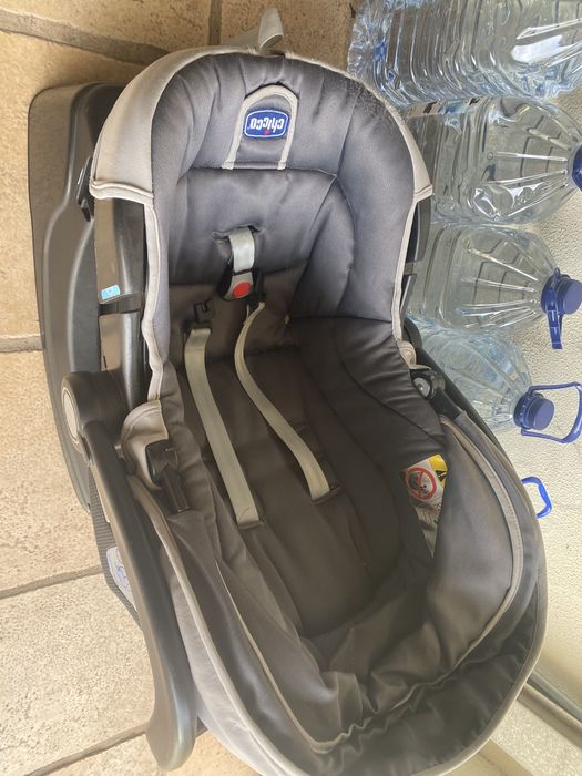 Ovo chicco em bom estado