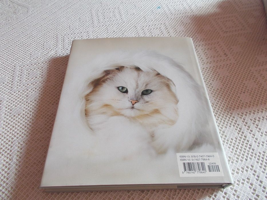 Livro sobre gatos The Cat´s Pajamas