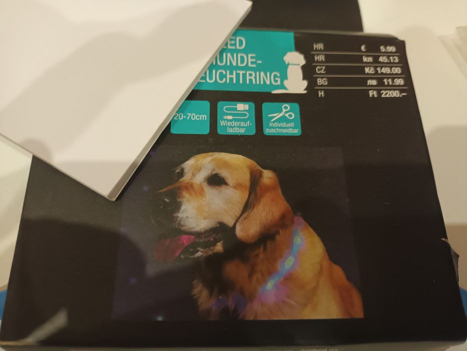 Świecąca obroża dla psa