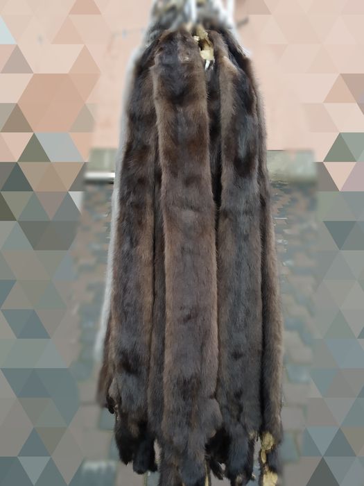 Шкурки норки