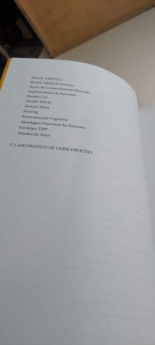 Gerir Emoções, Um Guia Prático - Paulo Moreira