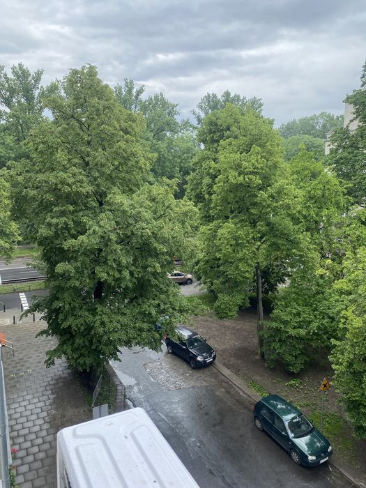Mieszkanie na wynajem Saska Kępa