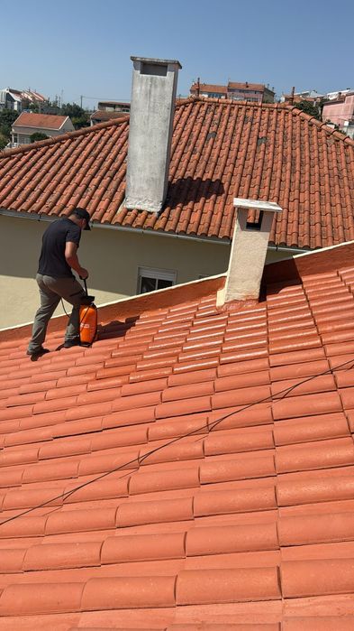 Limpeza e lavagem de tehados