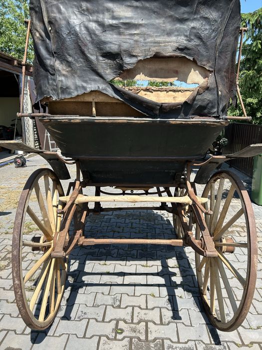 Brzyczka doktor wagen