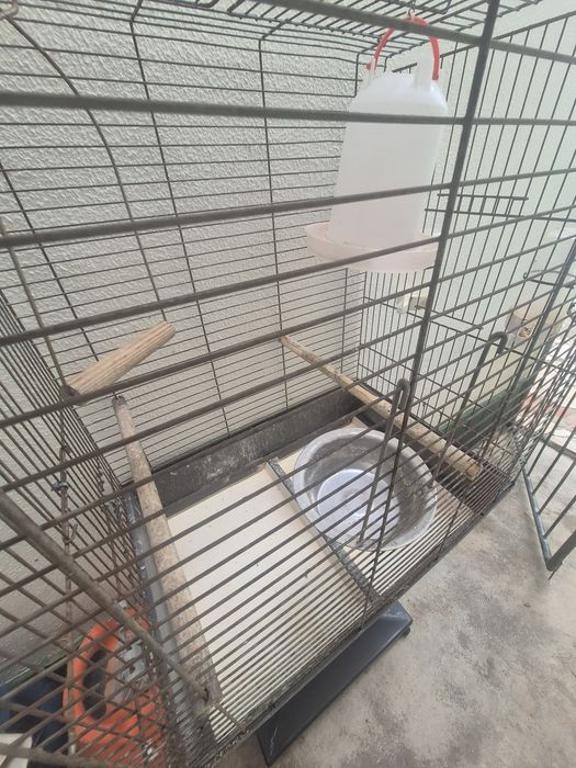 Gaiola com pé e rodas