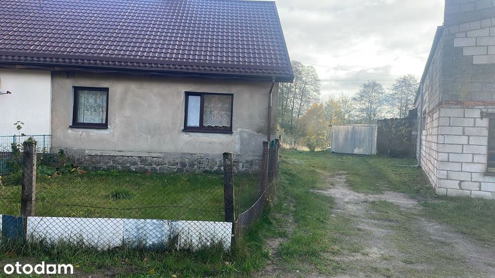 Zdjęcie 2