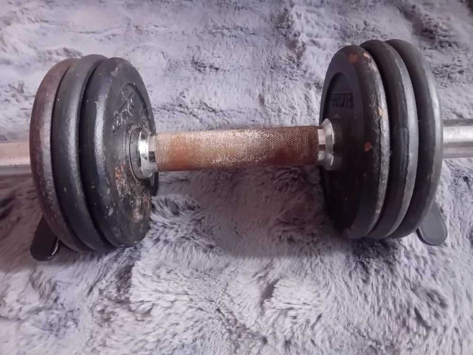 Discos / Pesos Para Musculação