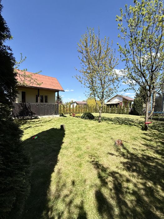 Dzialka rekreacyjna ROD Tulipan Dębica - Widok 6