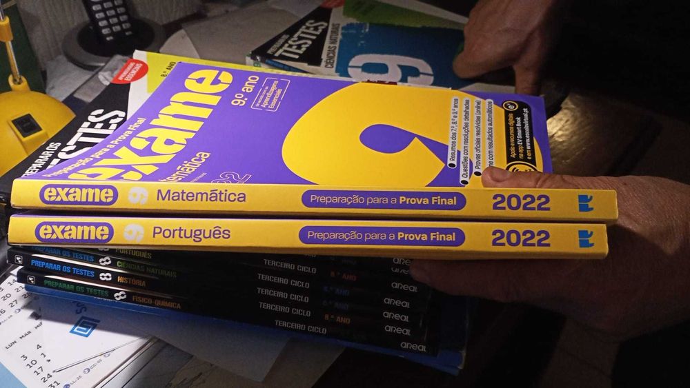 9º Ano-Preparação Para a Prova Final 2022-matemática e português