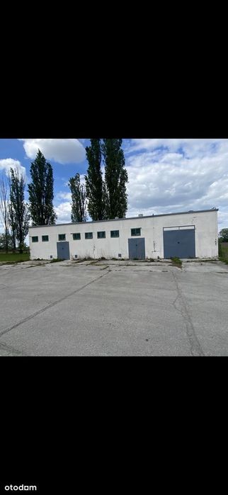 Budynek przemysłowo - warsztatowy w Mątwach na sprzedaż