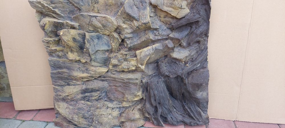 Tło strukturalne amazonka