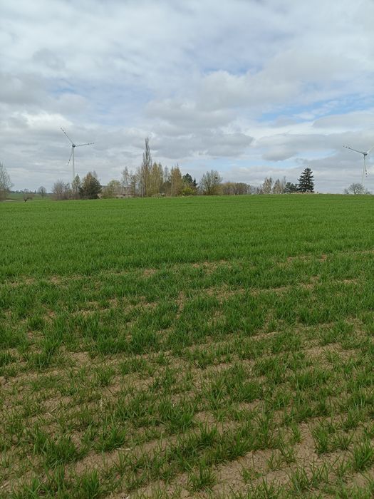 Sprzedam działkę rolną