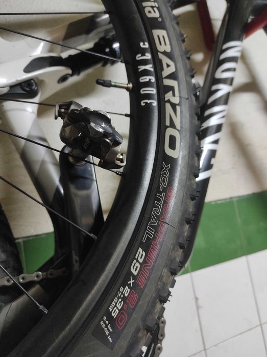Canyon Lux Word Cup Carbono