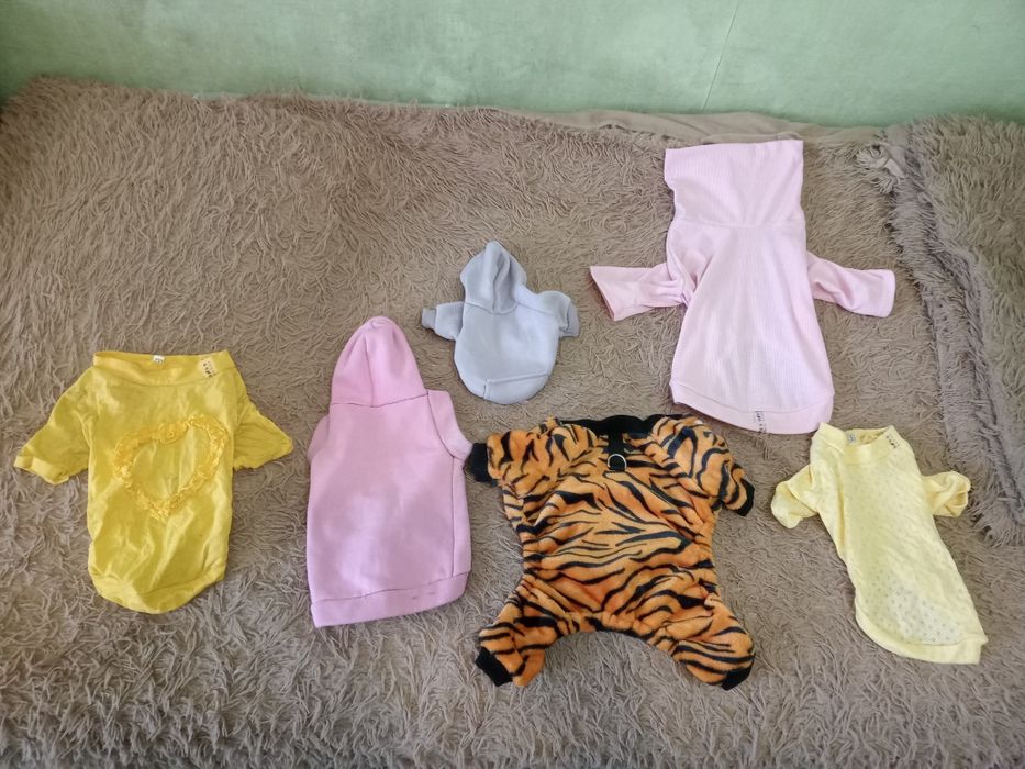 Одяг для собаки Йорка