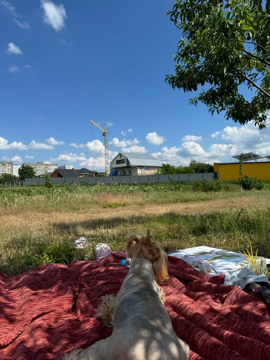 Продам земельну  ділянку