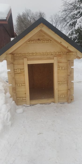 Buda, dom dla pupila