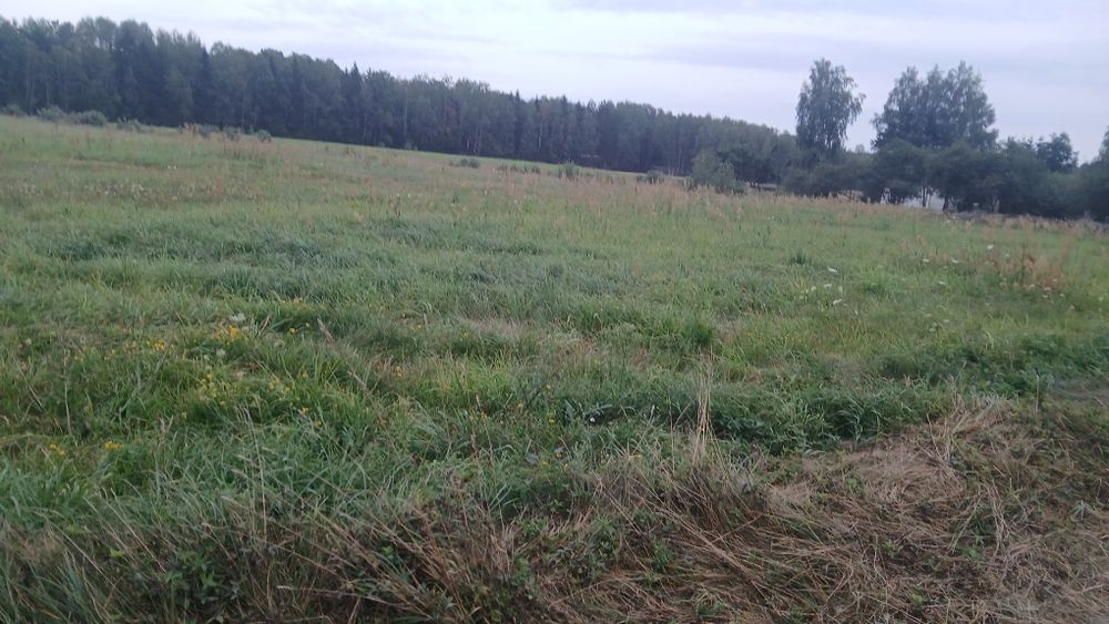 Sprzedam działkę siedliskową o powierzchni 3000m2 z WZ.