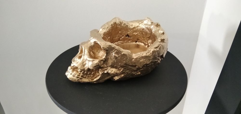 Caveira/Skull Dourada