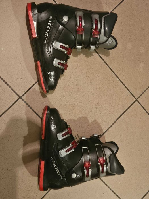 Zestaw Narty Salomon + Buty narciarskie Tecno + Kijki