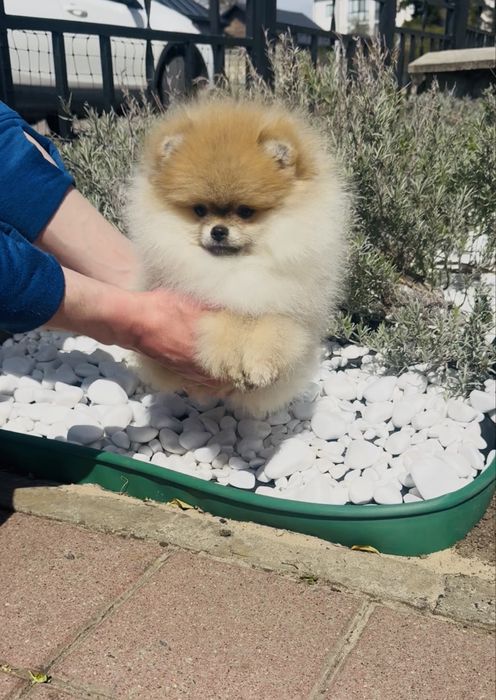 Неймовірна дівчинка