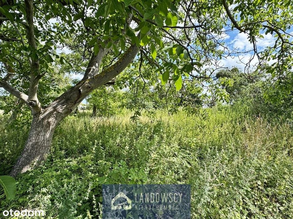 Dobra lokalizacja to najlepsza inwestycja!