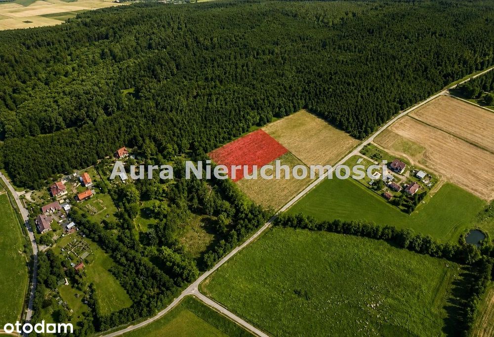 DUŻA Działka Przy Lesie gmina RYŃSK