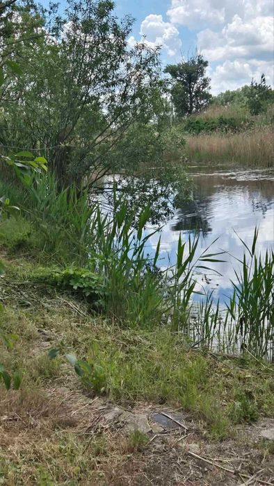 ПРОДАМ помещение Шоссейная 23 ЦЕНТР  ( Подгородние) 100 м2  53 000 $