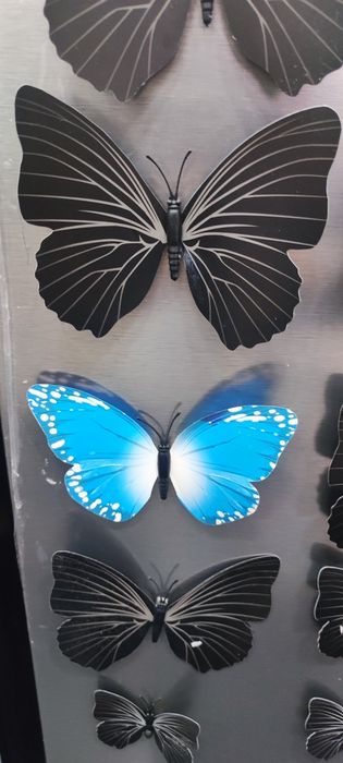 Borboletas decorativas