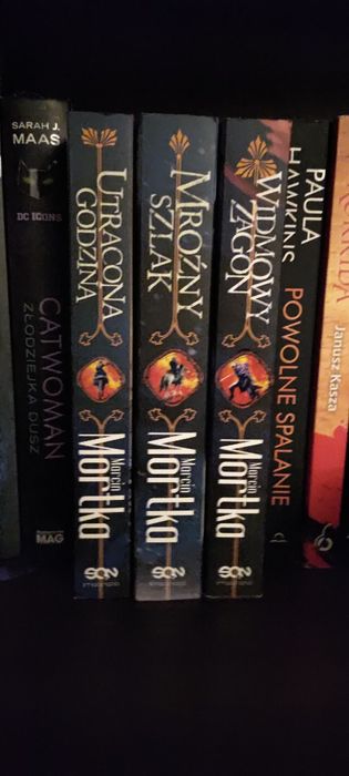 Marcin Mortka  cykl o Straceńcach Madsa Voortena