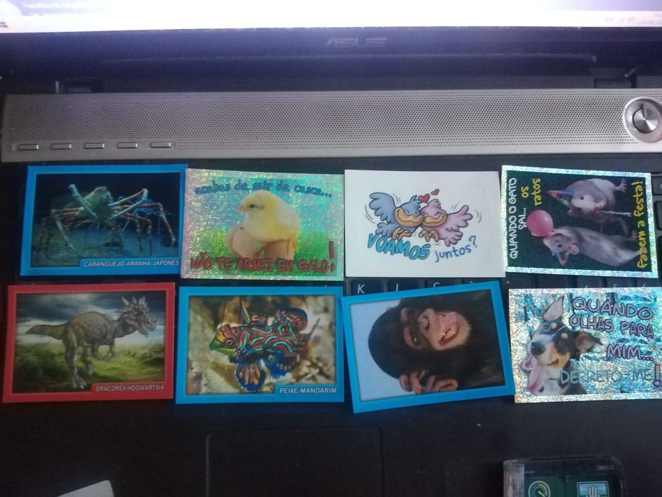 Animal Collectible Stickers