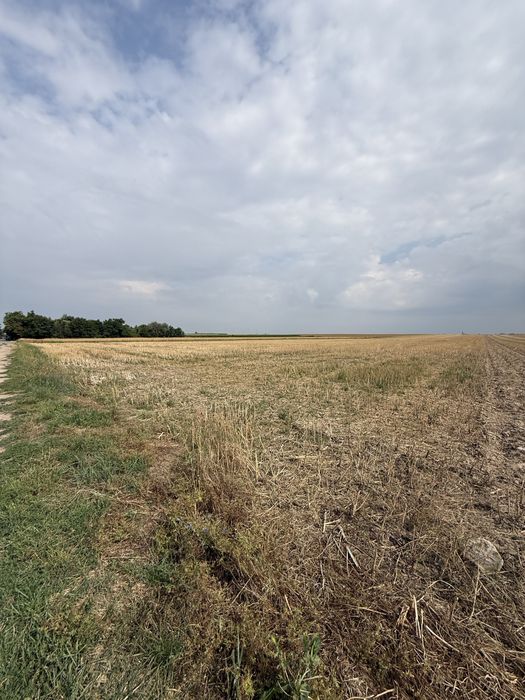 Działka budowlana  z potencjałem \ MPZP\ blisko lasu \ cicha okolica \ Niemil \ Oława
