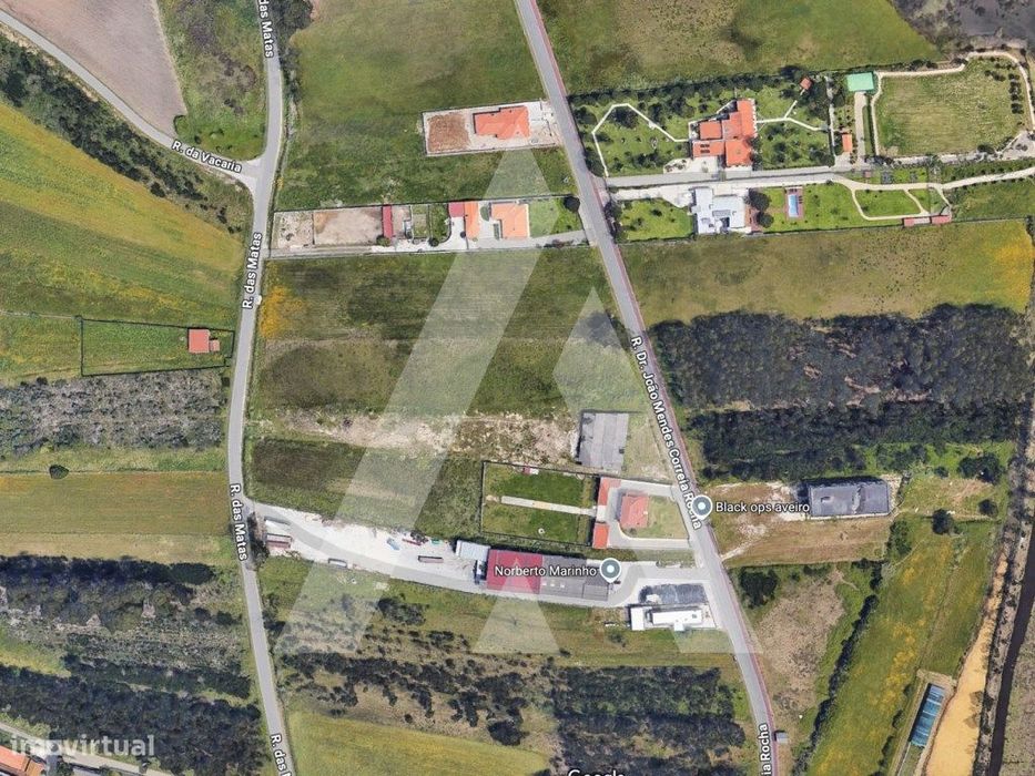 Terreno com 3.930 m2 em Vagos.