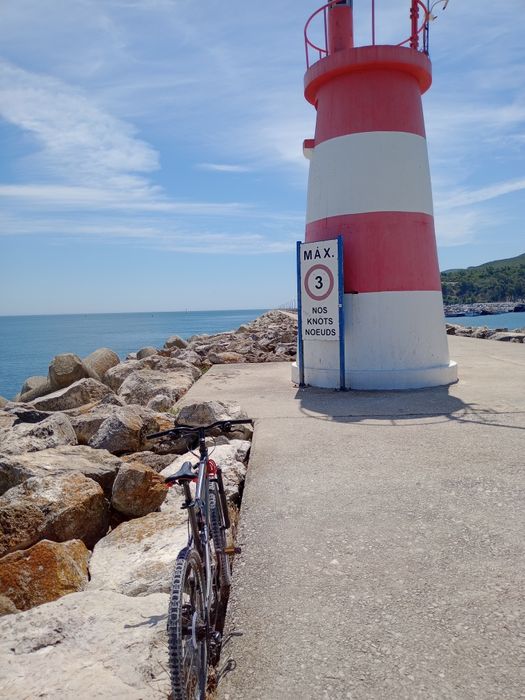 Bicicleta de montanha