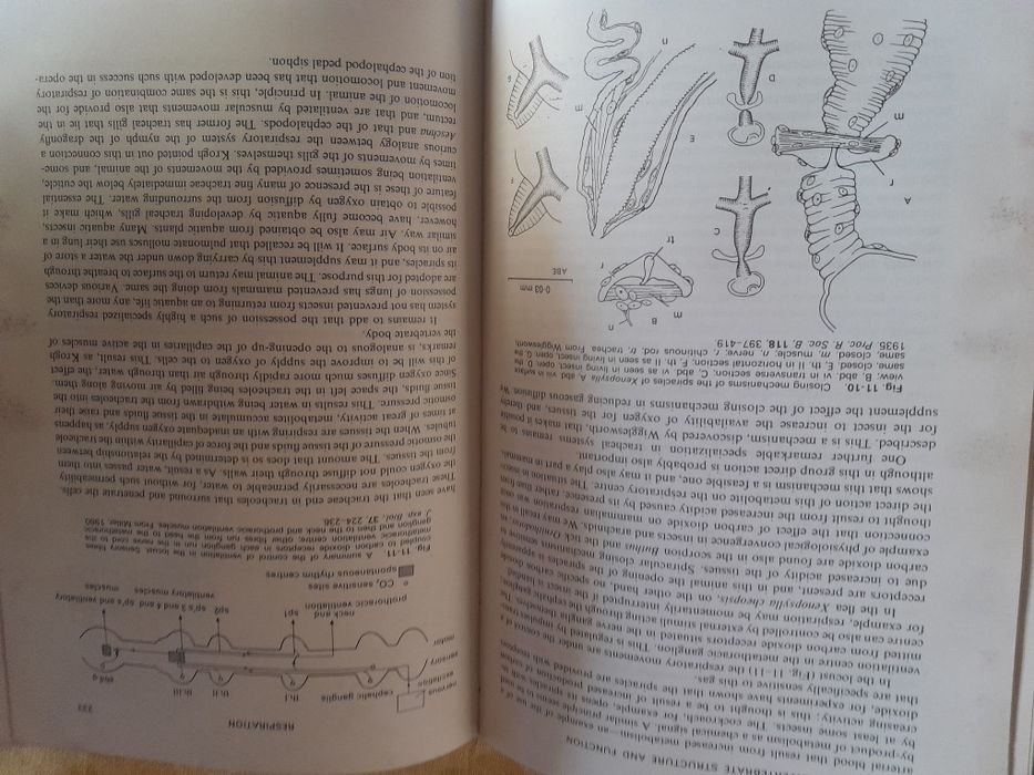 Livro de estudo de invertebrados