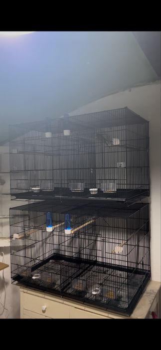 Gaiolas para pássaros