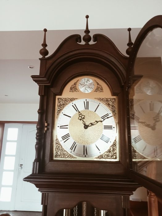 Relógio de sala Tempus Fugit
Vendo magnífico relógio de sala (reló