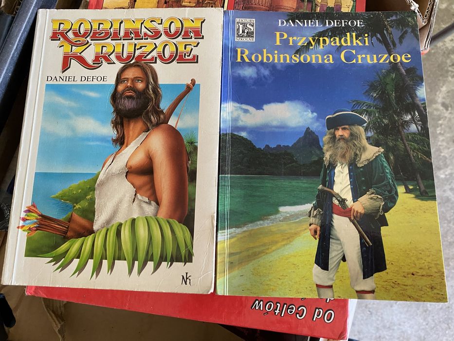 Daniel Defoe. Robinson Kruzoe, Przypadki Robinsona Cruzoe