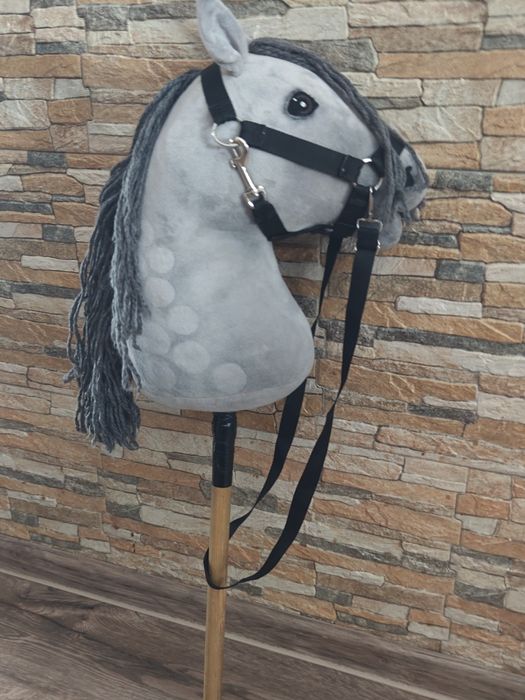 Hobby Horse A 2.