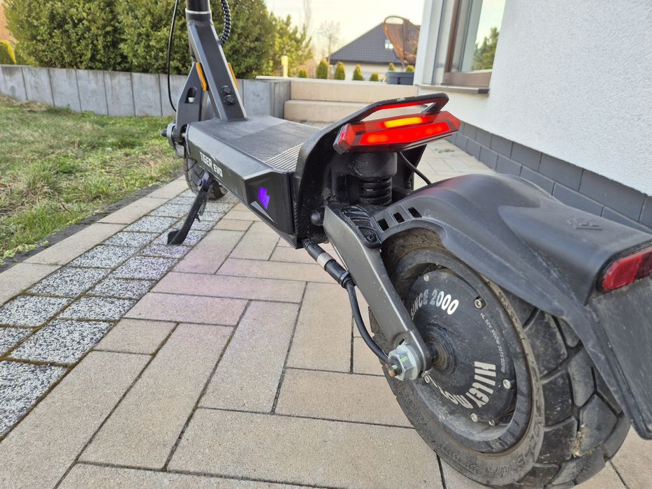 Hiley Tiger  evo